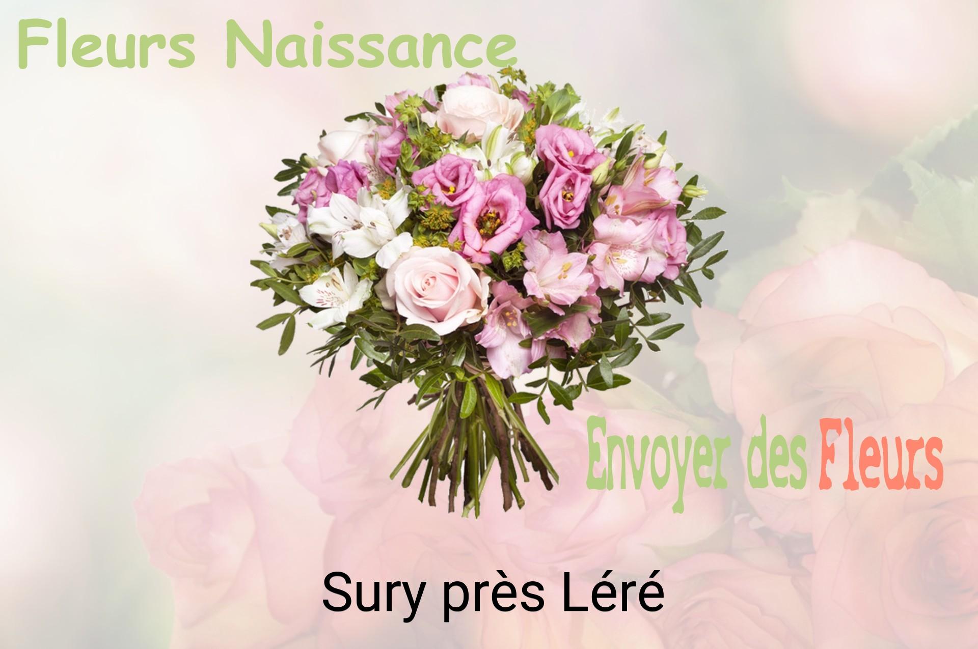 Bouquet de fleurs de naissance livré à Sury-près-Léré